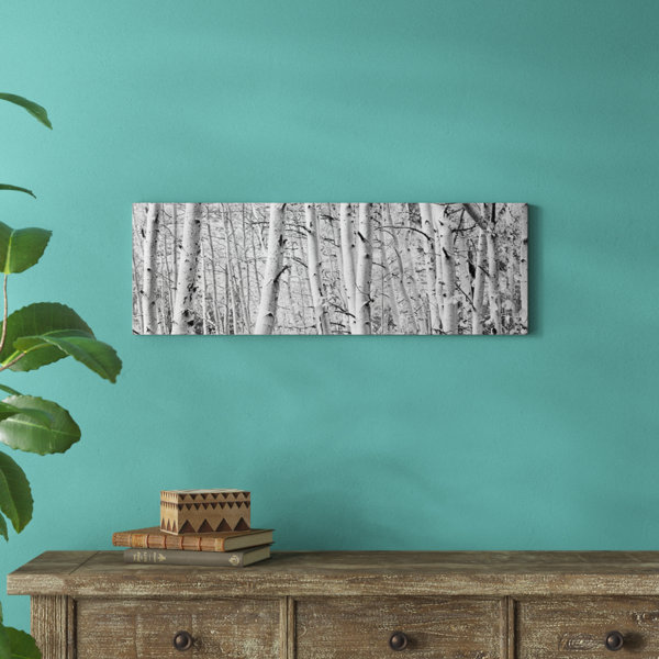 Loon Peak® Aspen Trees In A Forest, Rock Creek Lake, California, USA by